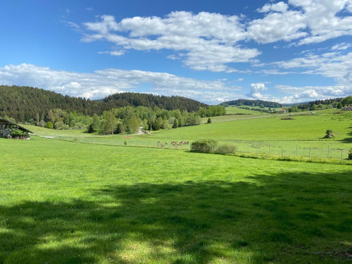 Vila Ferienhaus Plattenstein Kirchberg  Exteriér fotografie